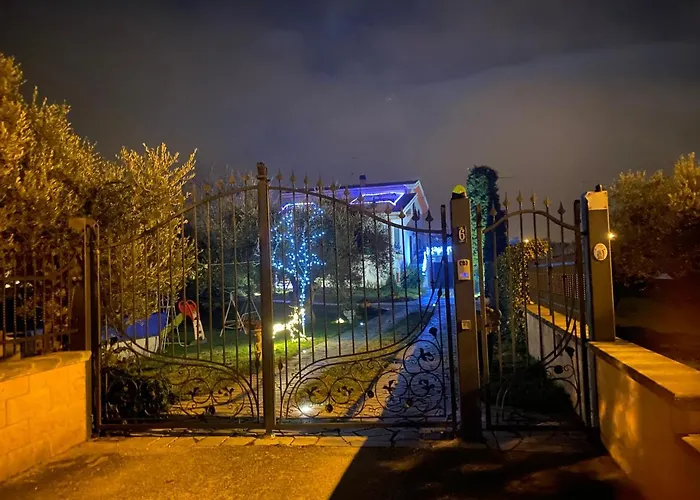 Ulivi Tocco da Casauria