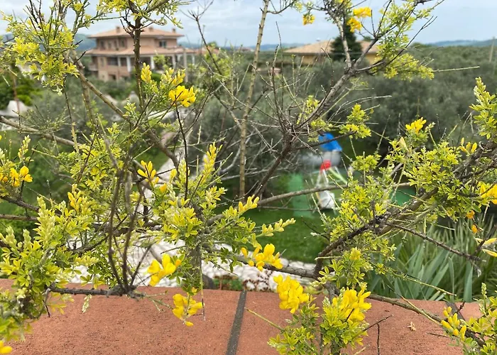 Гостевой дом Ulivi 4*